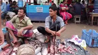 Rohu Fish Most Fastest Fish Cutters | Amazing Cutting Fish | Rohu Fish Curry Cutting in the Market