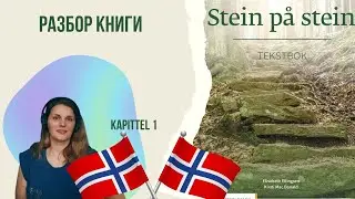 НОРВЕЖСКИЙ ЯЗЫК 👩&zwj;💻 по книге Stein p&aring; stein