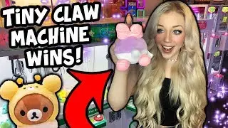 WINNING THE SMALLEST CLAW MACHINES EVER!!! Neofuns Arcade!