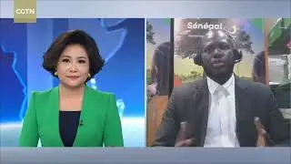 Pouye: China's zero-tariff policy promotes African exports to China