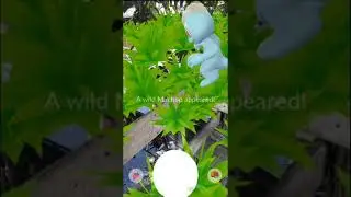 Machop ~ Pok&eacute;mon Go : CP 998🥊🥋 Catching near the canal
