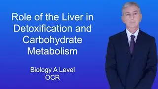 A Level Biology Revision (Year 13) 
