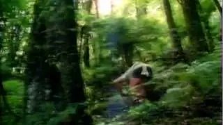 Moa's Ark:  possum problem