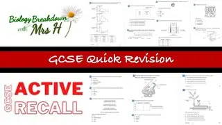 GCSE Quick Revision Questions - Active Recall