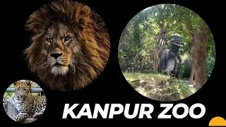 Kanpur Zoological Park or Allen Forest Zoo full video  #largest #zoologicalpark #kanpur