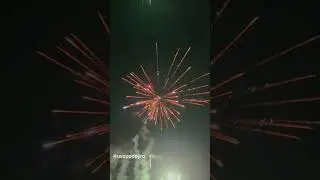 Business Class A 16s by Tiger Fireworks #paputok #fireworks #youtubeshorts #youtube