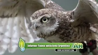 Animales de Argentina
