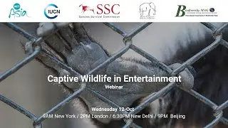 Captive Wildlife in Entertainment