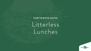 FWA at Home: Litterless Lunch Tips