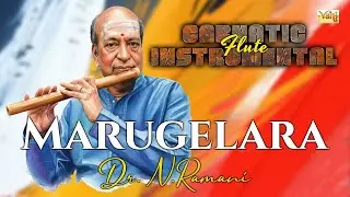🎶 Marugelara | Dr. N. Ramani &ndash; Flute | Jayanthasri | Adi | Thyagaraja Krithi | Carnatic Instrumental