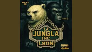 LSDN