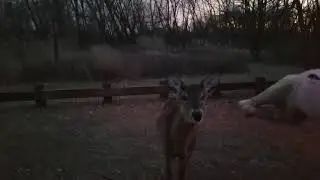Palmyra Nature Cove