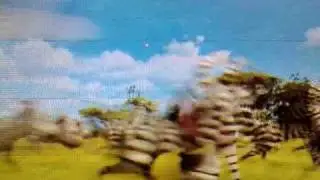 Madagascar 2, we are unique!