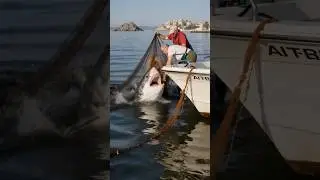 POV: Two men fish a shark with a net in the middle of the ocean#pov #ai #fishing #shark #ocean