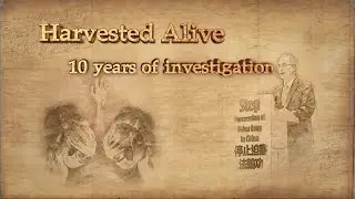 Harvested Alive (English trailer) Ten year's investigation of Force Organ Harvesting