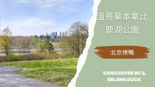 「西雅圖生活」在本拿比吃到溫哥華地區最好的北京烤鴨，市中心鹿湖公園鬧中取靜，Dear Lake Park & best Beijing Duck in Vancouver BC metro area