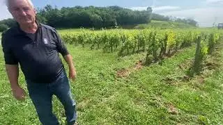 Pierre Seillan, winemaker of Ch Lassegue, St Emilion, Bordeaux, France - June 2025