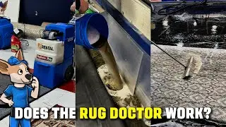 Does the Rug Dr. actually work?! | Professional Review