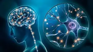 Healing Deep Within The Subconscious | Destroy Unconscious Blockages and Negativity | 528Hz