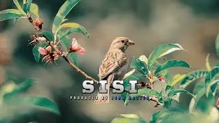 Sebene Instrumental Gospel Beat - SISI