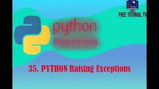 35  How to Raise Exception in Python programming?