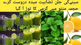 Pudina lemon juice benefit | Mint Lemonade Recipe | Village Cooking Food Style