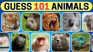 Guess 101 Animals in 5 Seconds | Easy to Impossible