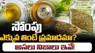 సోంపు ఎక్కువ తింటే ప్రమాదమా? అసలు నిజాలు ఇవే! | Is Excess Fennel Seeds Bad for Health? |