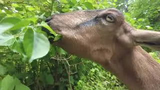 Allaire Community Farm NJ  Walk around 2023