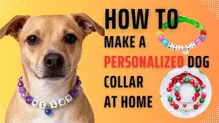 How to Make a Personalized Dog Collar at Home | Step-by-Step Guide  a Christmas gifts for dogs cats