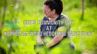 Cisco Community Day at HORNBEAM WOOD HEDGEHOG SANCTUARY - 2023