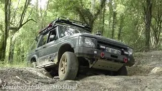 Discovery TD5 exploring the forest - First time Off road