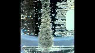 2) Dendrite Tree Growth