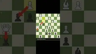 cool #chess #chessopening #checkmate