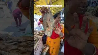 Mumbai&rsquo;s Biggest Dry Fish Market of Maharashtra