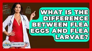 What Is The Difference Between Flea Eggs And Flea Larvae? - Ask A Pet Vet