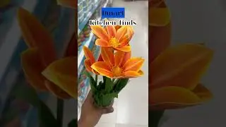 D mart kitchen Finds #dmart #kitchenfinds #budget