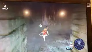 Getting to Hyrule Castle so fast the game bugs out 2 (BOTW)