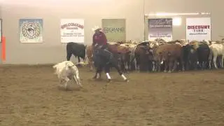 Mister Olena Chic ridden by Randy J. Paul - 2014 NRCHA Derby(Open Finals Herd Work)