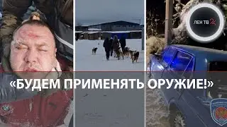 &laquo;Спокойно, полиция&raquo; | 5000 звонков от мошенников | Собачий концлагерь | Военный билет за 300 тысяч