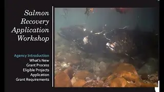 Introduction to Salmon Grants (2025)