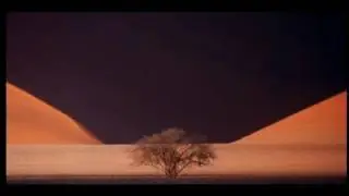 Crucis - Los Delirios del Mariscal 