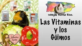 Las vitaminas y los g&uuml;imos (guimo, cobaya, cuyo)