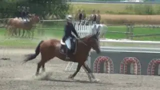 ** Boldrick / Nikča ** Pravčice 9.7.2016