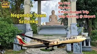 How to Spend a 5 Hour Layover in Sri Lanka| Colombo Airport to Negombo Budget Guide| ENG Subtitle