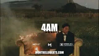 4AM | #afrobeats x #typebeat x #freebeats x #viralbeats x #burnaboytypebeat x #wizkidtypebeat