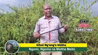 ngomi ngoma na maithe maitũ