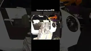 Building a Snowman Using Cash💀💵
