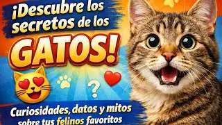 Descubre los secretos de los GATOS! Curiosidades, datos y mitos sobre tus felinos favoritos 🐱