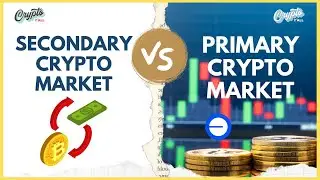 The Hidden Truth About Crypto Markets